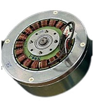 SSNatu BLDC Motor Manufacturer in India